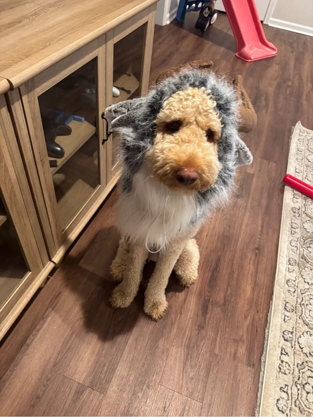 Dog Sven Frozen Reindeer Halloween Costume